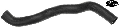 Radiator hose pipe - radiator,