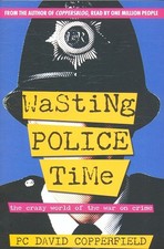 Wasting police time