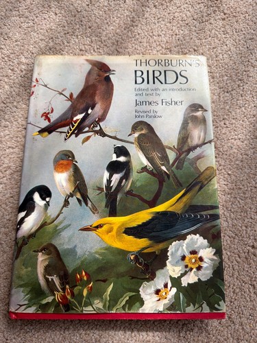 Thorburn birds james - birds, fisher
