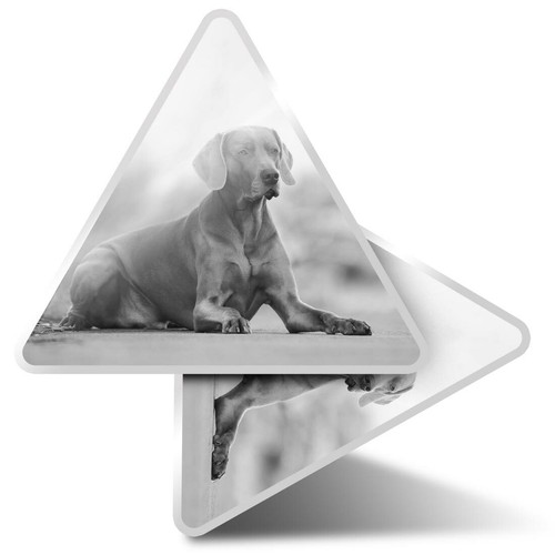 Triangle stickers 10cm - 2,