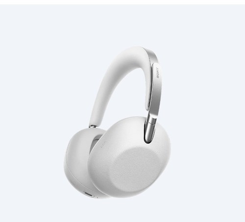 Sony 1000x 1000xx the - 1000x,