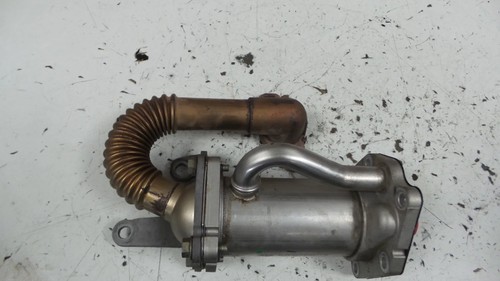 Egr cooler renault kangoo - renault,