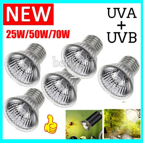 75w uva uvb reptile heat - reptile,