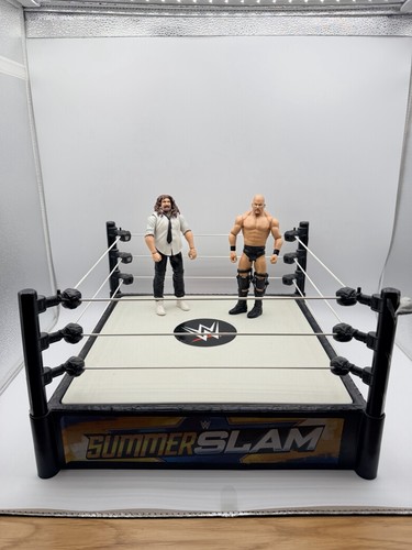 2010 wwe summerslam wrestling - 2010,