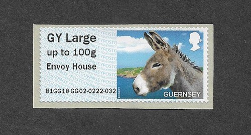Donkey pet farm animal - donkey,