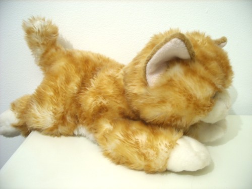Nature babies ginger tabby - tabby, cat