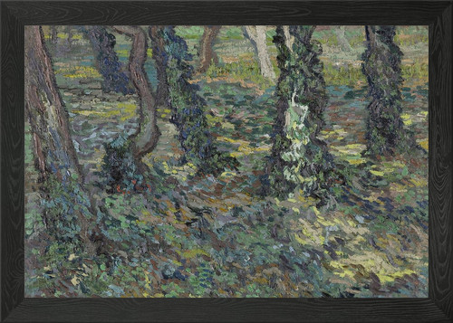 Tree trunks with ivy framed - trunks,
