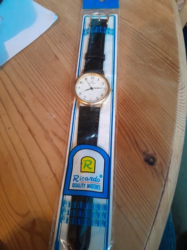 Quartz mens ricardo watch - quartz,