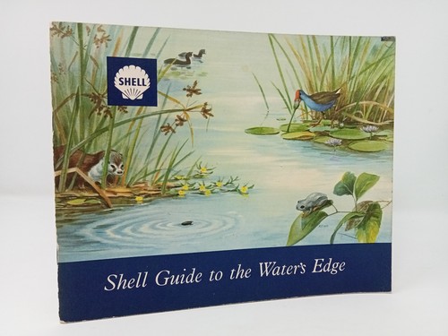 Shell guide the water s - shell, to