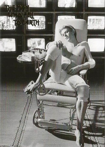 The man who fell earth - the,
