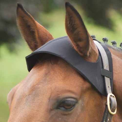 Equestrian poll guard - poll,