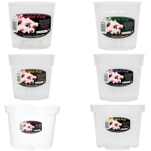 Growth technology clear orchid - technology,