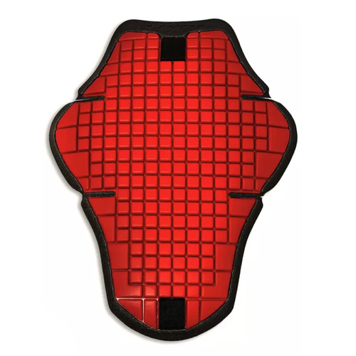 Ducati warrior back - warrior, 2