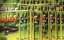 Real Life Bugs and Insects