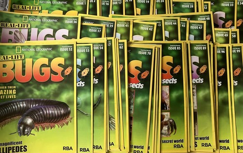 Real life bugs - life,