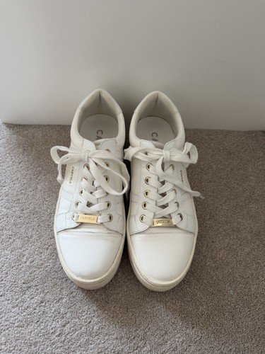 Carvela trainers white - carvela,