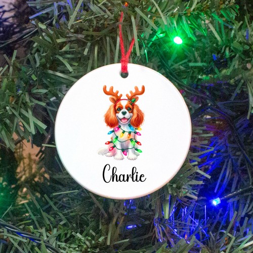 Personalised king charles - personalised,