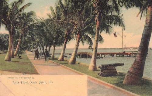 Postcard palm beach - postcard,