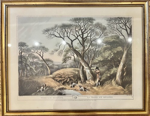 Woodcock shooting lithograph - woodcock,