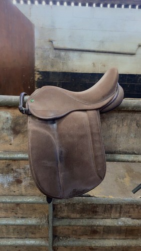 Ideal pony suede - pony, show