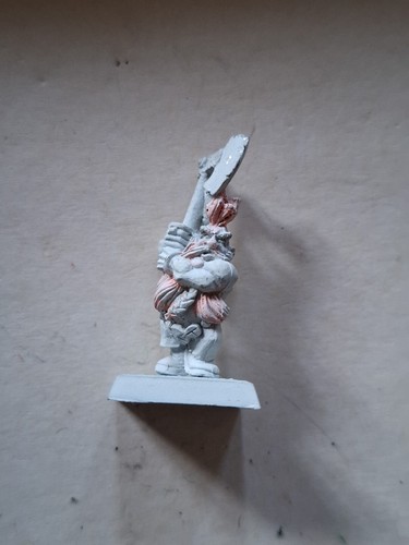 Dwarf troll slayer - dwarf,