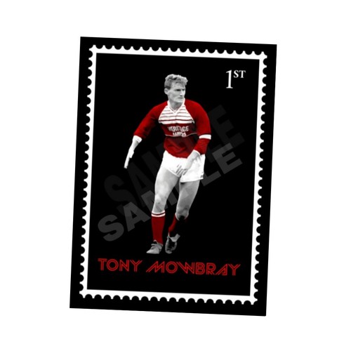 Tony mowbray middlesbrough - tony,