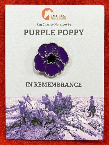 Purple poppy original charity - purple,