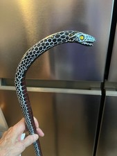 HAND MADE WOODEN SNAKE WALKING