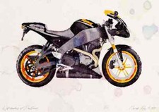 A3 Photo Buell Firebolt XB12R