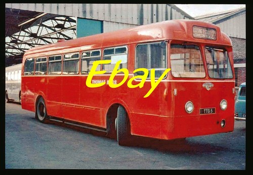 Bus photo leyland tiger cub - bus,