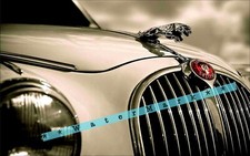 Jaguar Hood Ornament Photo