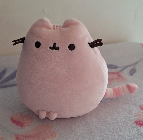 Rare pusheen sitting pet - rare, pose