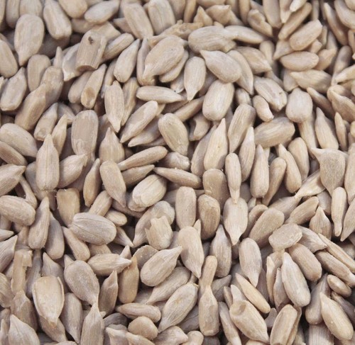 Sunflower hearts premium - sunflower,