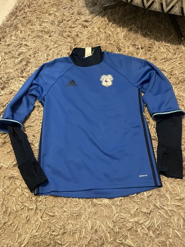 Cardiff city 2015 football - 2015,