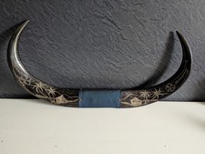 Taxidermy, Water Buffalo