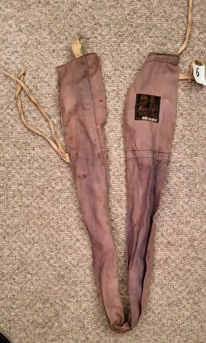 Vintage purple hardy - hardy, of