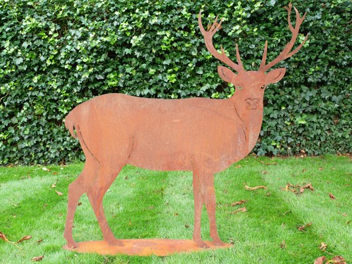 Large rusty stag deer - stag,