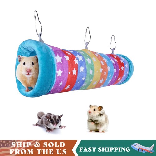 Guinea pig hanging - pig,