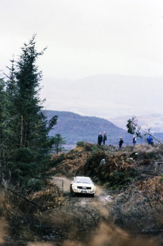 Audi quattro wrc 1984 motor - audi,