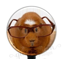Guinea Pig Badge Reel, Glasses