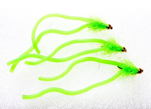 Squirmy worm lime - squirmy,