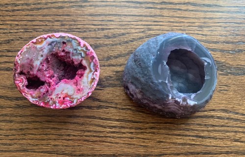 Rocks fossils minerals - fossils,