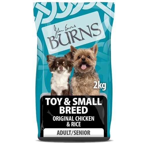 Burns dog adult - dog, &