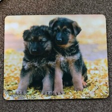 German Shepherd Puppies Mouse