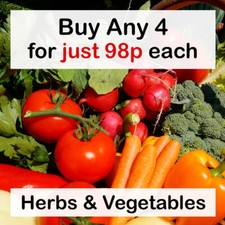 ANY 4+ FOR 98p EACH Vegetable