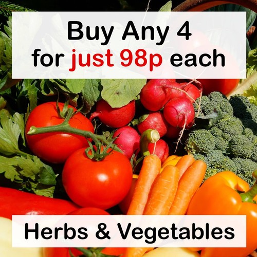 Any for 98p each vegetable - 4+,