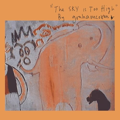 Graham coxon sky - graham, high