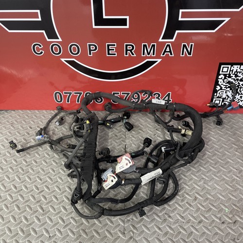Genuine mini engine wiring - engine,