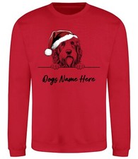 BEARDED COLLIE Personalised Christmas Dog Sweatshirt Adults Kids Jumper Day Gift