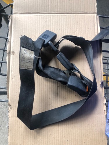 Transporter lap seatbelt - transporter,